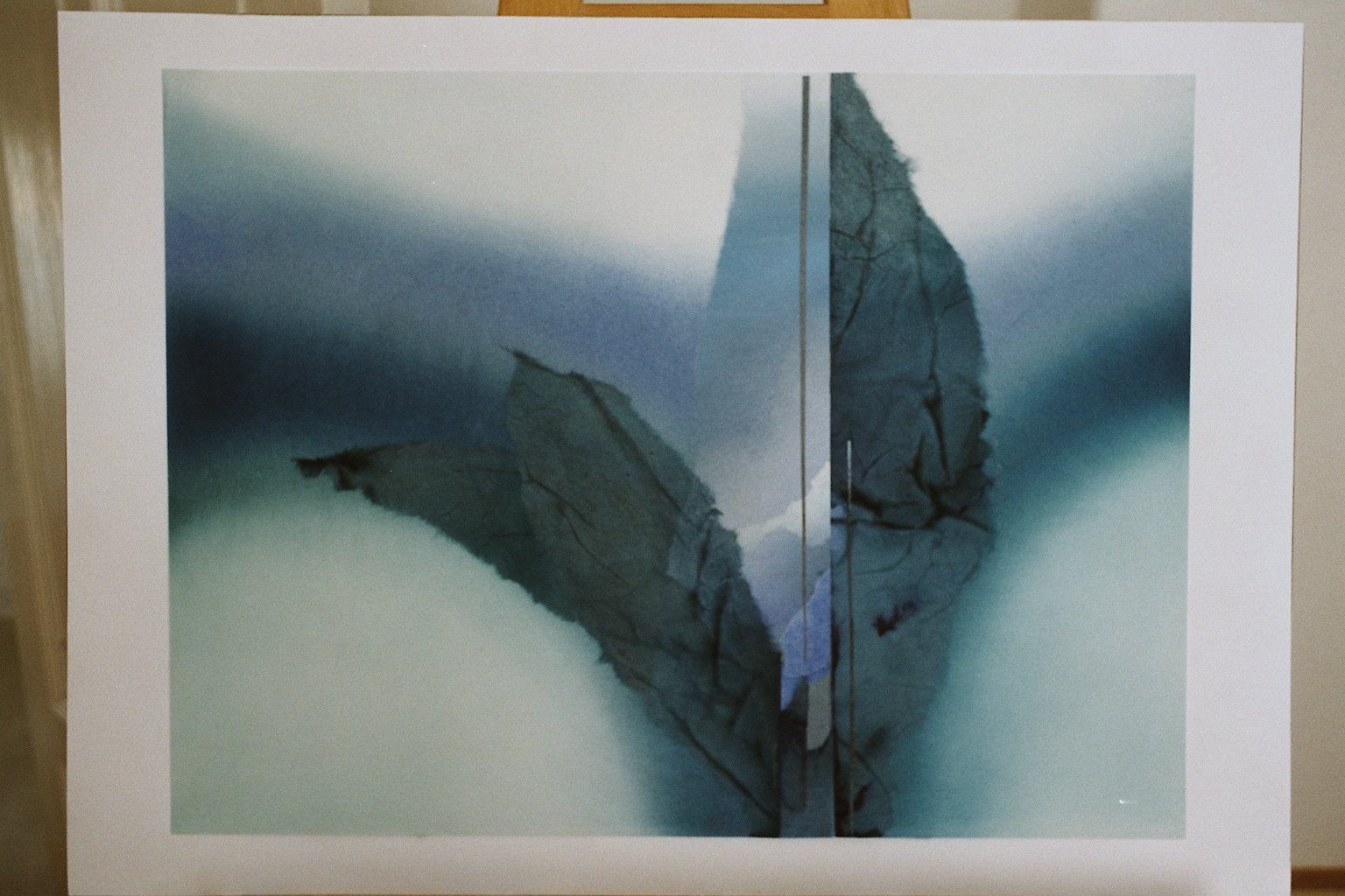 Eva Boström: Ohne Titel