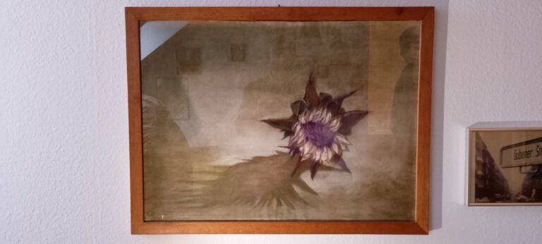 Getrocknete Blüte